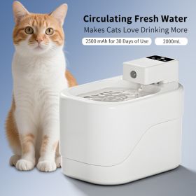 Intelligent Sensor Pet Drinking Fountain 2000ML Large Capacity, USB Charging Wireless Water Feeder, Ultra Quiet Anti-Dry Burn Water Dispenser Wit (Option: White)